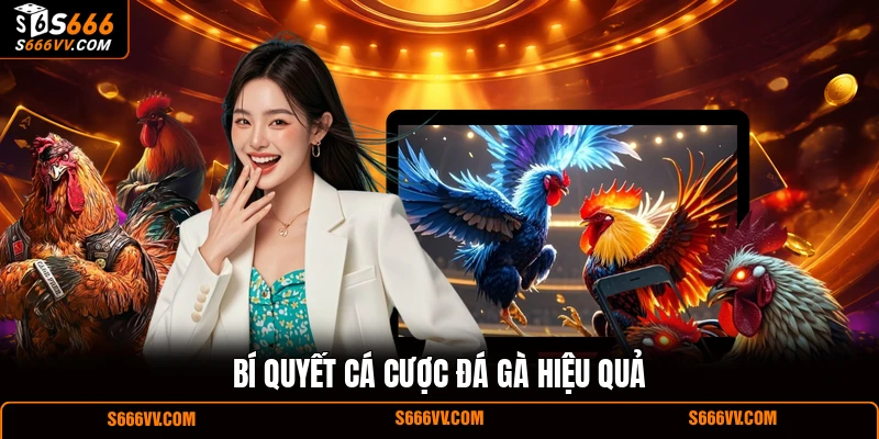 Bí quyết cá cược đá gà hiệu quả